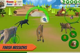 Cougar Simulator: Big Cats Gameplay Screenshot 2